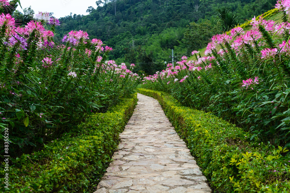 Footpath in the garden with beautiful flower Footpath in the garden with beautiful flower