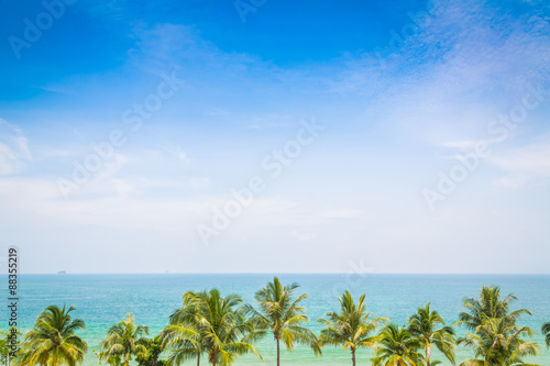 Fototapeta Naklejka Na Ścianę i Meble -  Palm tree with beautiful seascape