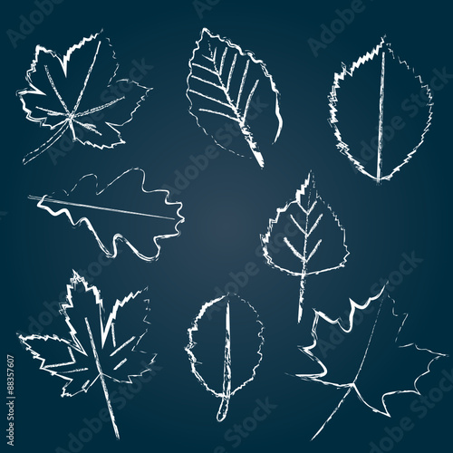 Herbstblätter