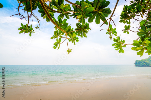 Fototapeta Naklejka Na Ścianę i Meble -  Green leaf and tropical beach