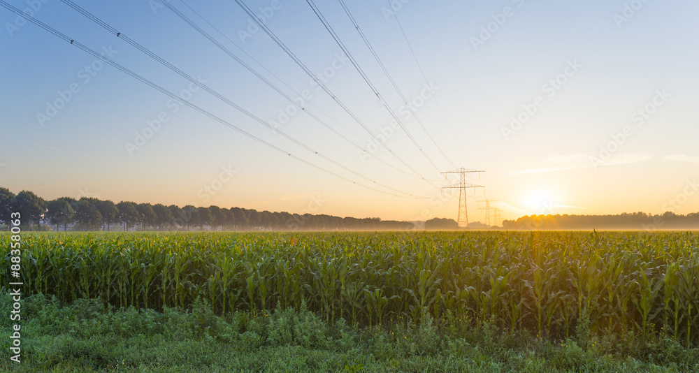 Naklejka premium Power line in a yellow sky at sunrise in summer