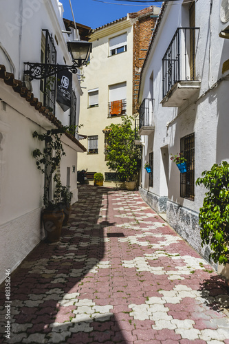 streets of Marbella in Spain with flowers and plants on the faca