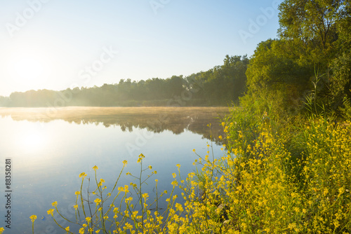 The shore of a lake at sunrise in summer