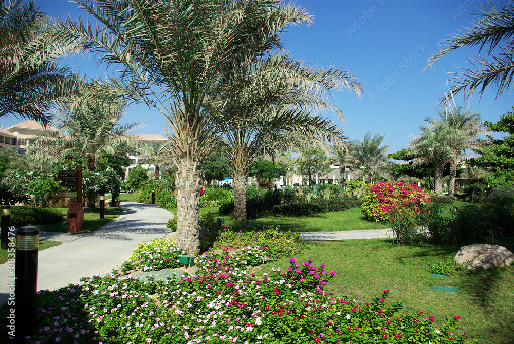 Resorts Fujairah. UAE. Coast of the Indian Ocean. Hotels and recreation areas on the shores of the Indian Ocean. Beautiful landscaping. Ponds with clear water.

