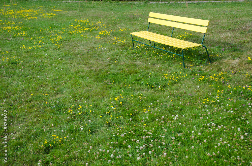 Fototapeta premium The Yellow Bench