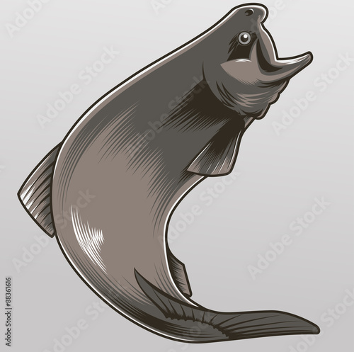 Trout
