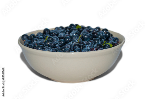 Blueberry 1
