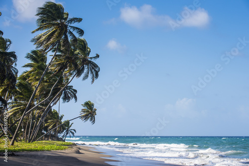 The beach of Sauteurs, Grenada, Windward Islands #88369225