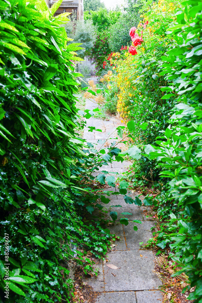 Naklejka premium zugewucherter Gartenweg