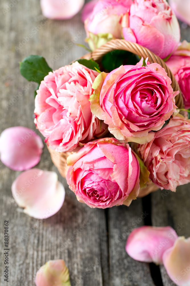 Fototapeta premium pink roses on wooden surface
