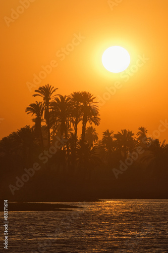 Sunset over palm trees on the banks of the River Nile, Egypt #88371614