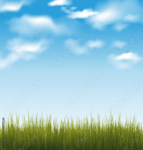 Spring background with green grass and sky
