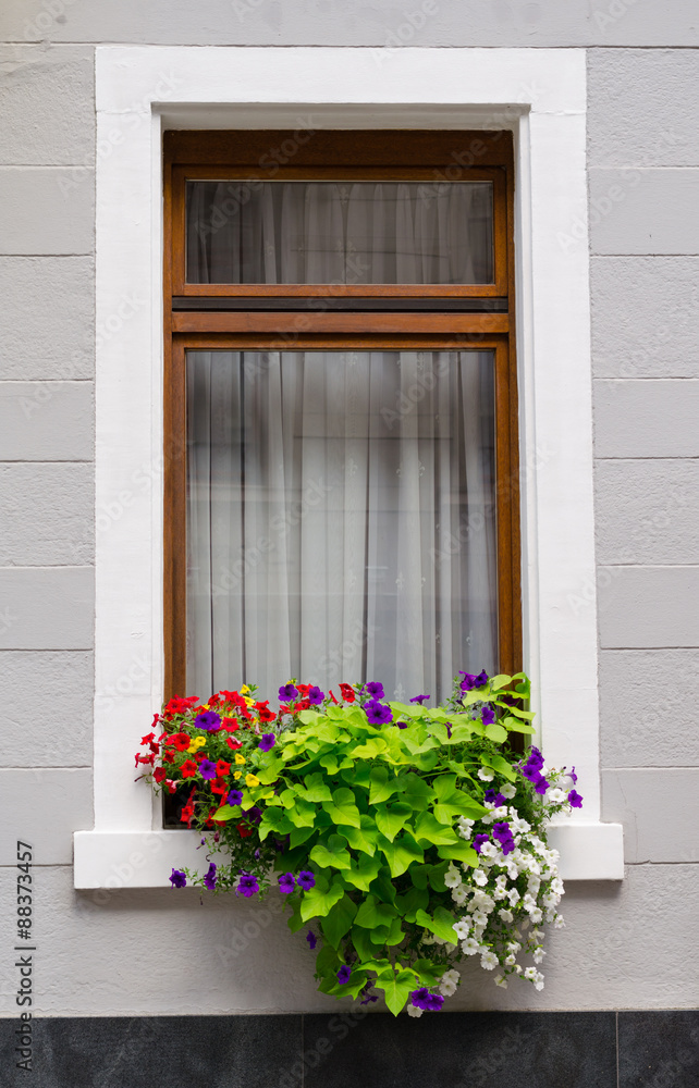  window in the house with flowers