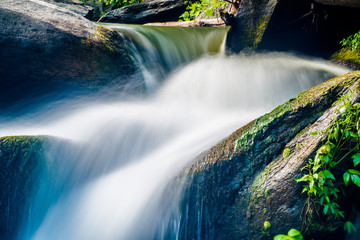 Keuken achterwand Bosrivier Brede rivier door dicht loofbos  © digidreamgrafix