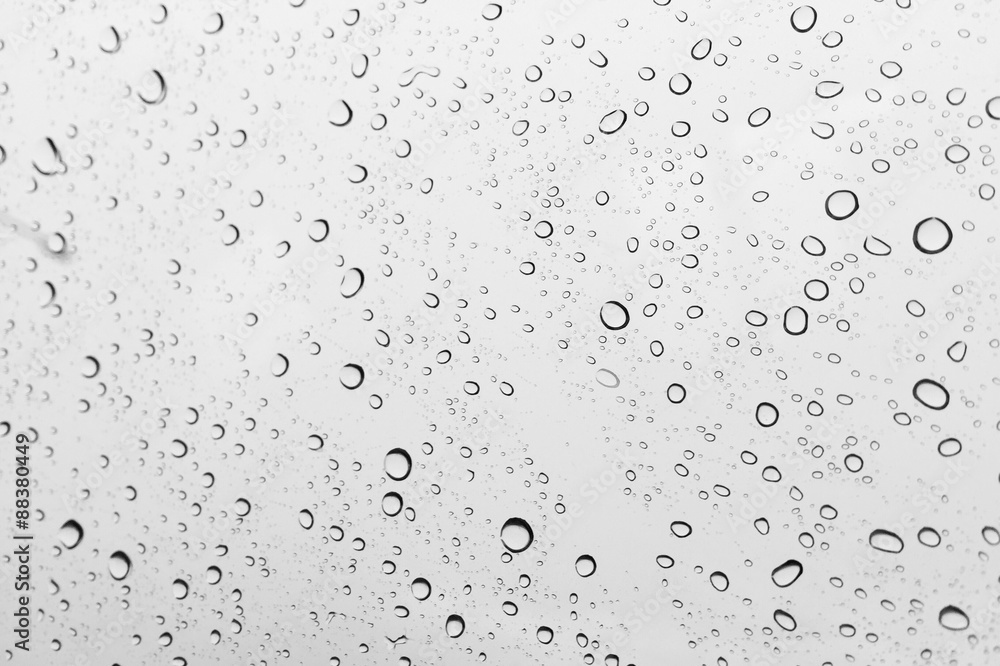 rain drop on the windows