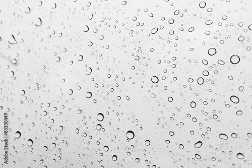 rain drop on the windows