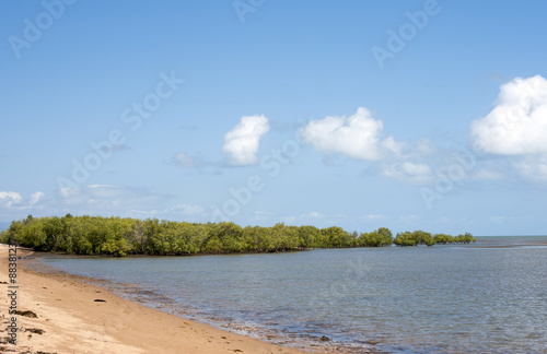 Fototapeta Naklejka Na Ścianę i Meble -  Mangrove, Bushland Beach, Townsville, Great Barrier Reef, Australia -1
