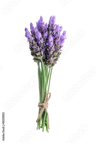 Fototapeta Naklejka Na Ścianę i Meble -  bundle of lavender