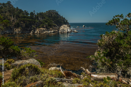 The Beautiful and ever Inspiring Point Lobos in Carmel  California