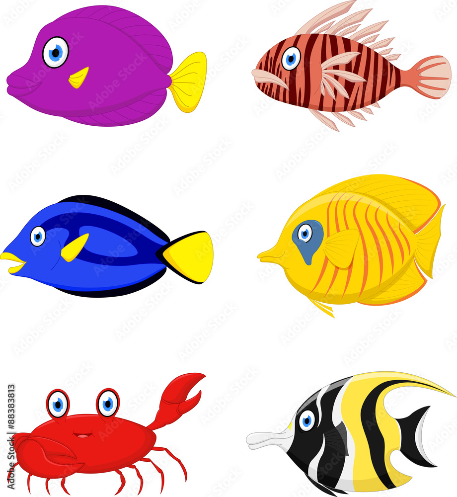 Fototapeta premium Tropical fish cartoon