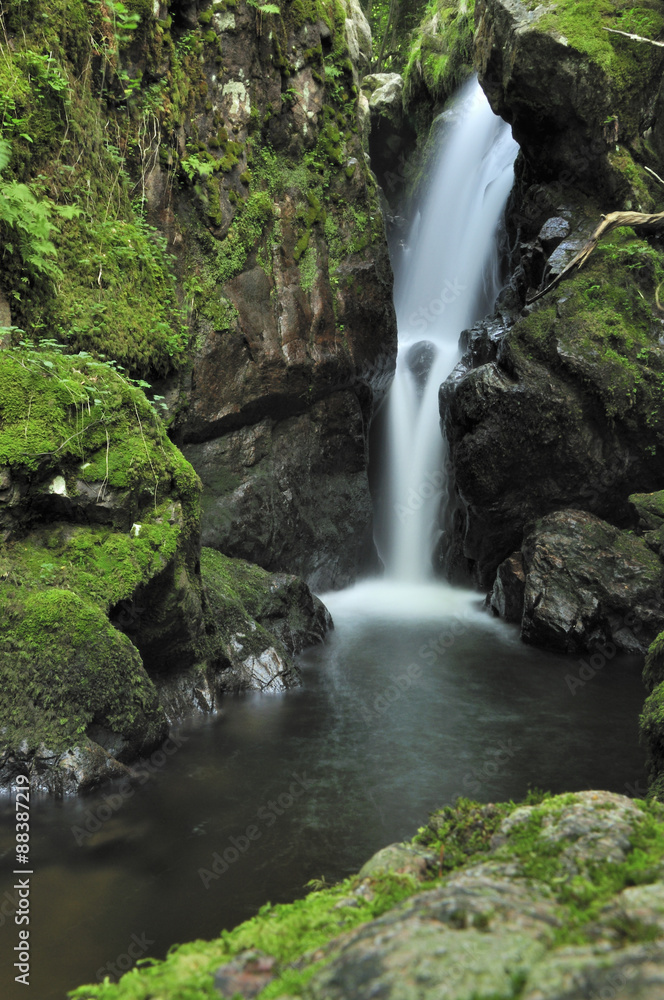 Fototapeta premium Petite cascade en alsace