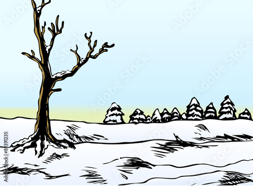 Colored winter snow landscape vector image
