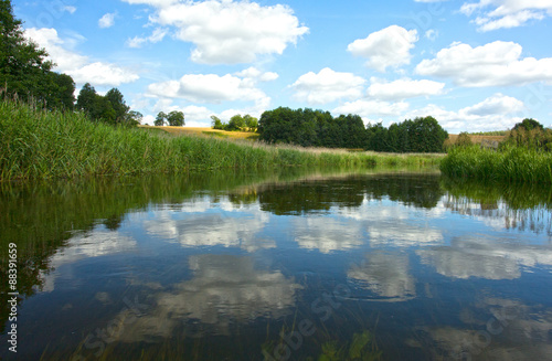 Fototapeta Naklejka Na Ścianę i Meble -  Poland.Brda river in summer.Horizontal view