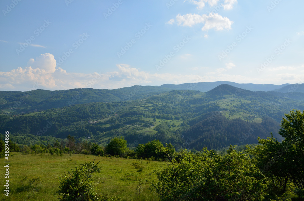 Meadow, hills, valleys and mountains with lush trees