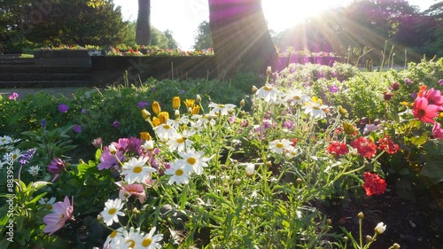 Morning lights at city park. Shot with slider. UHD, 4K