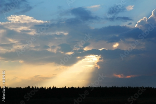 Landscape, sunny dawn in a field