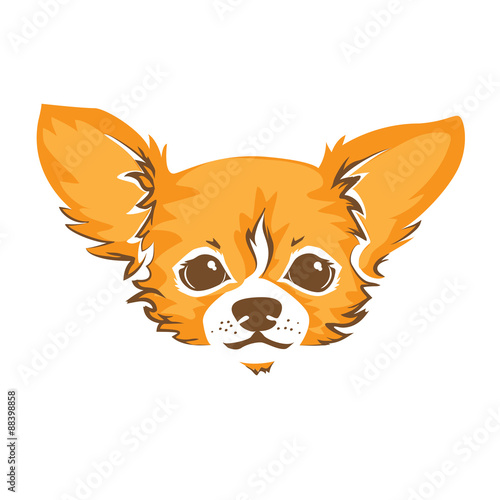 Fototapeta Naklejka Na Ścianę i Meble -  Chihuahua dog - vector illustration