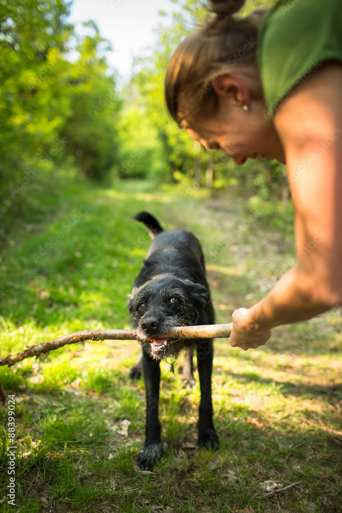 Walking the dog - throwing the stick to fetch to this eager comp Walking the dog - throwing the stick to fetch to this eager comp