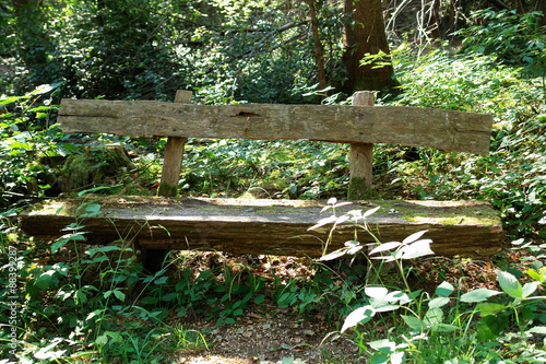 Bank im Wald