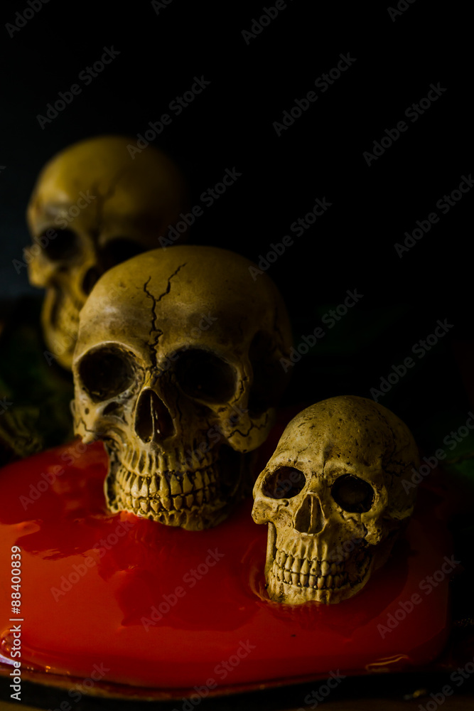 Skull and blood Skull and blood