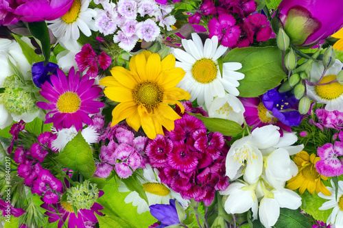 Fototapeta Naklejka Na Ścianę i Meble -  Floral chaos summer collage