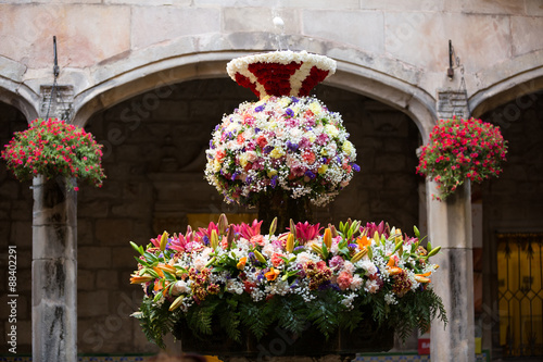 Photography Feast of Corpus Christi