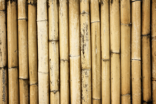 Vintage bamboo background