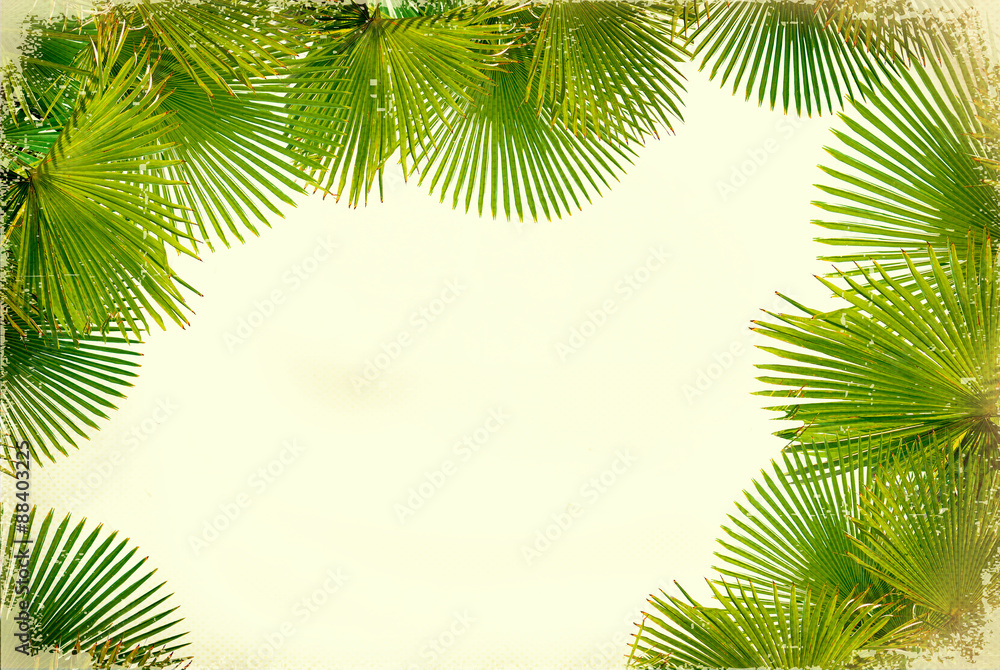 Tropical green palms on white vintage background