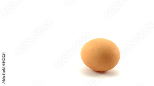 eggs isolated background