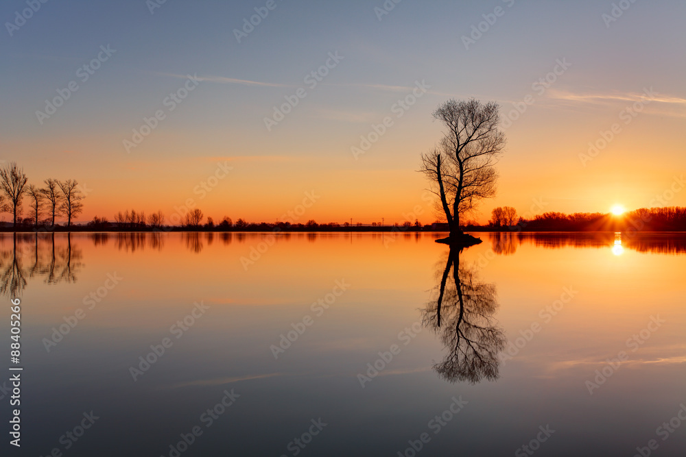 Naklejka premium Silhouette tree at sunset in lake