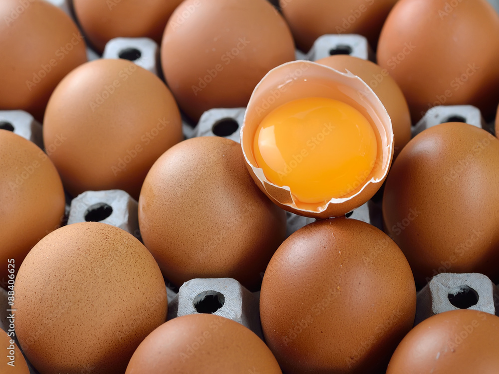 egg in carton box egg in carton box