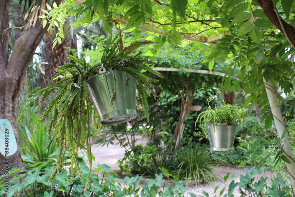 Maceta colgada en jardín Maceta colgada en jardín