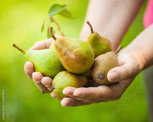 Female farmer holding pears from her orchard