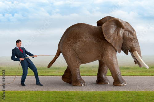 businessman trying to restrain an elephant Fototapet