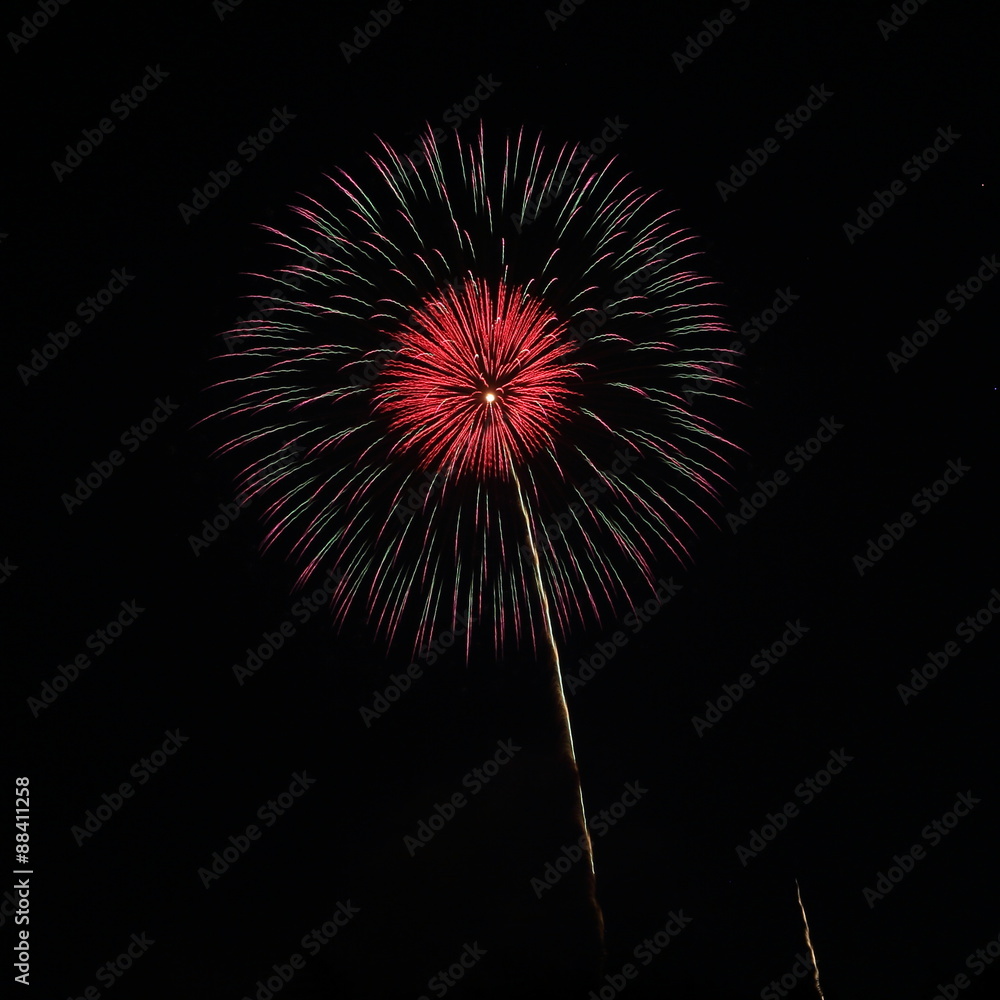 Fototapeta premium Skyrocket fireworks