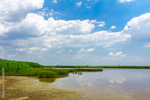 Fototapeta Naklejka Na Ścianę i Meble -  View over marshland