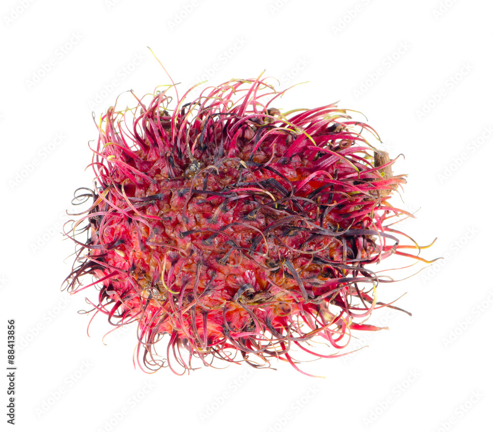 Fototapeta premium Rotten rambutan