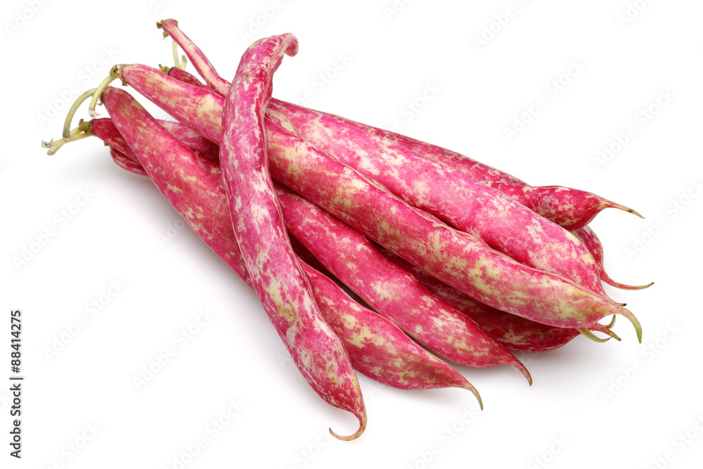 Pinto Beans Pinto Beans