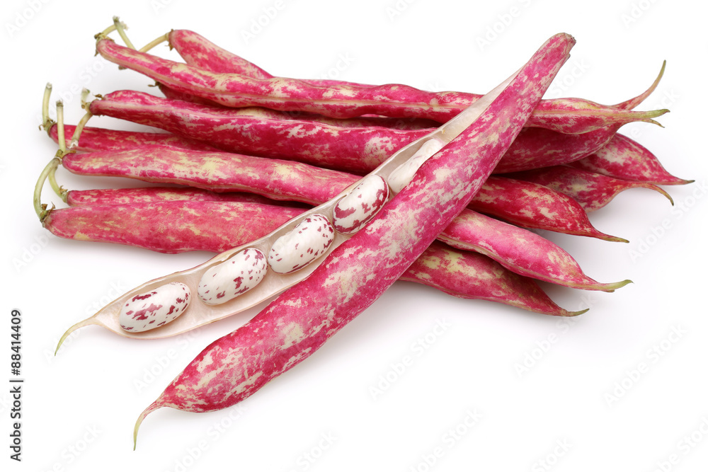 Pinto Beans Pinto Beans