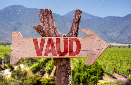 Canvastavla Vaud wooden sign with winery background